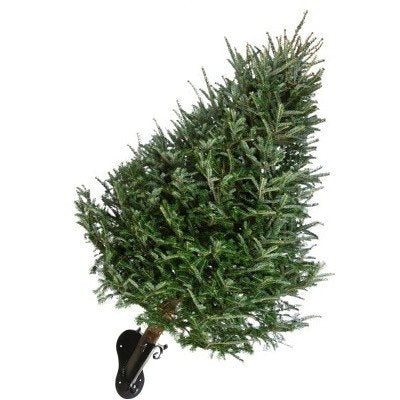 Curved 4" Wall Bracket Tree Stand