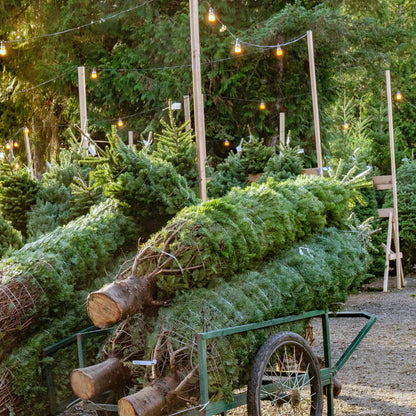 White Polypropylene Baling Twine for Wrapping Trees