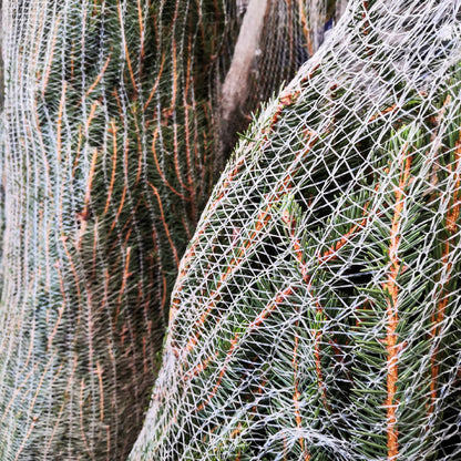 Xnet LZ Tape Christmas Tree Netting